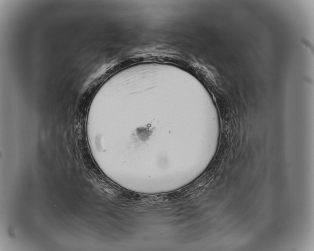 X0000096701159200803041315