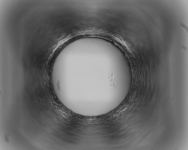 X0000096701160200803041315