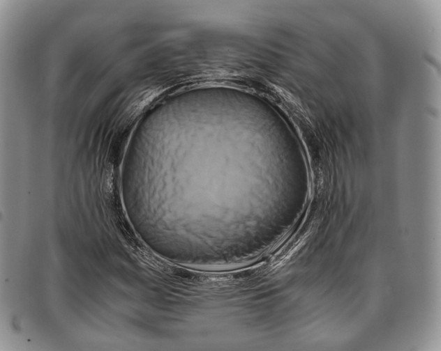 X0000096701161200803041315