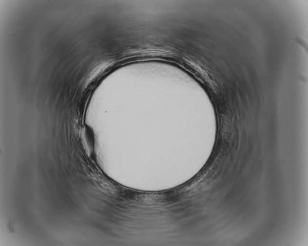 X0000096701163200803041315