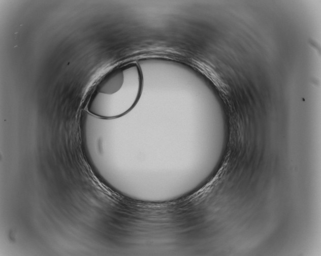 X0000096701164200803041315