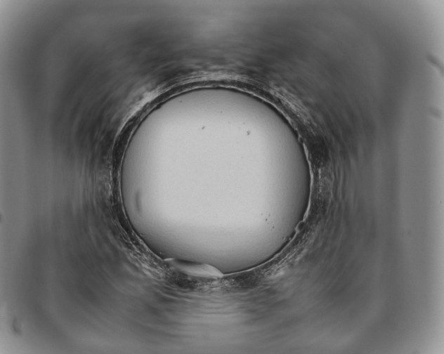 X0000096701165200803041315