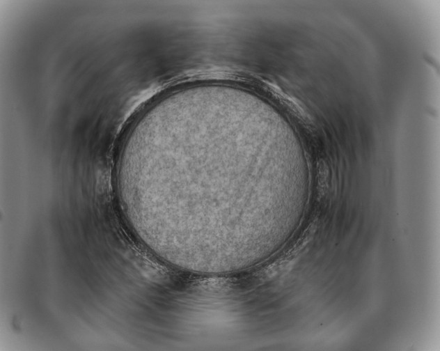 X0000096701166200803041315