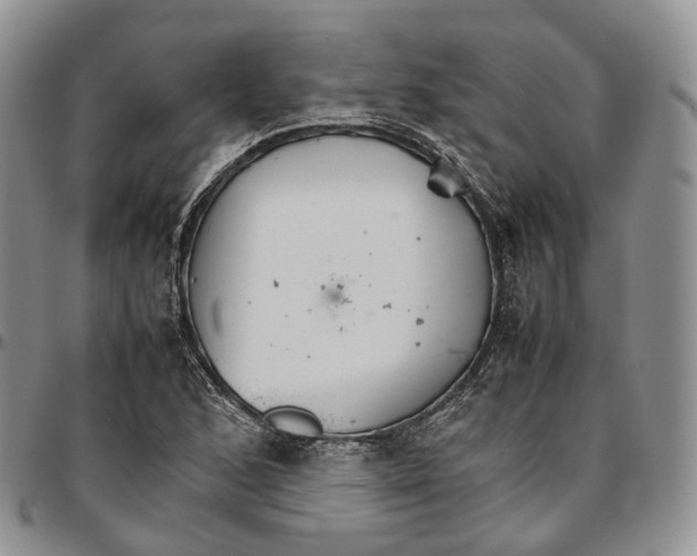 X0000096701168200803041315