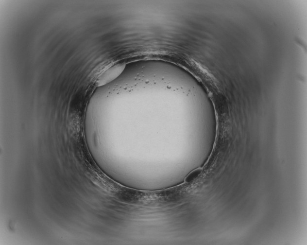 X0000096701169200803041315