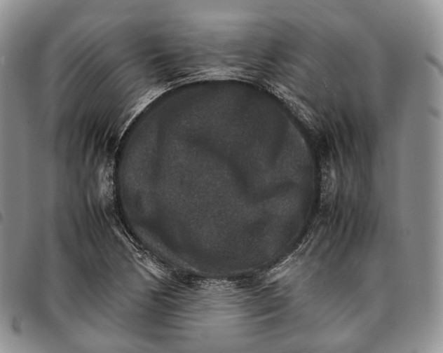 X0000096701170200803041315