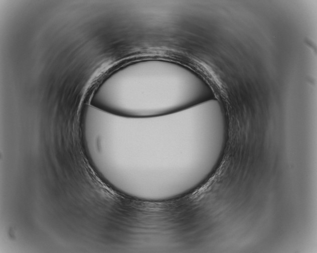 X0000096701172200803041315