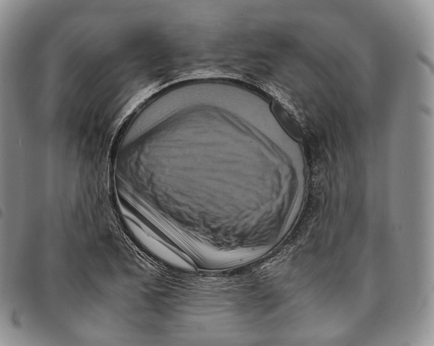 X0000096701173200803041315