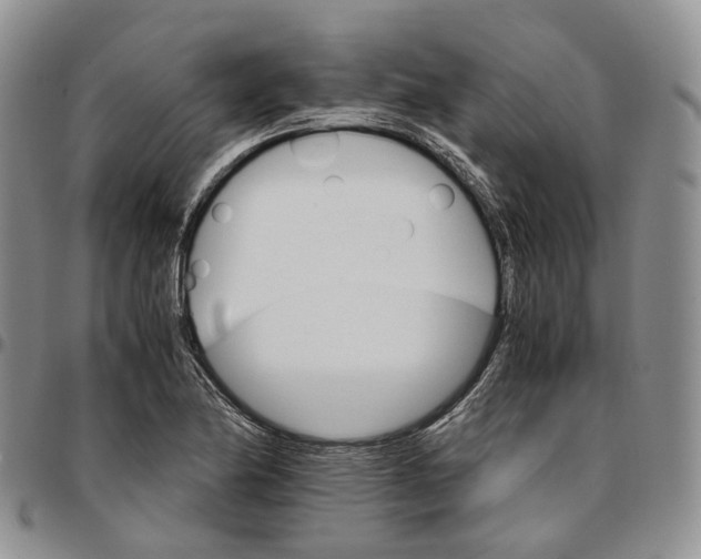 X0000096701174200803041315