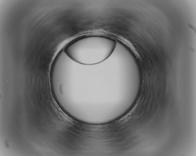 X0000096701176200803041315
