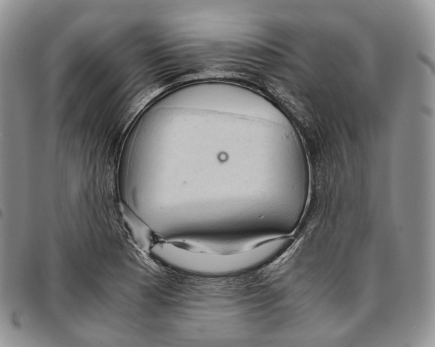 X0000096701177200803041315