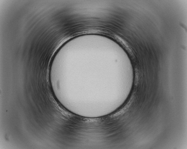 X0000096701178200803041315