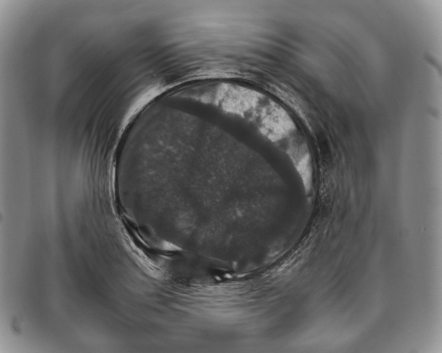 X0000096701179200803041315