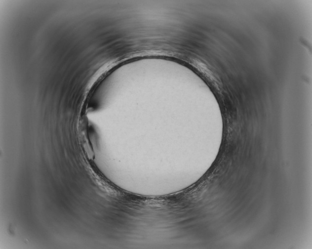 X0000096701181200803041315