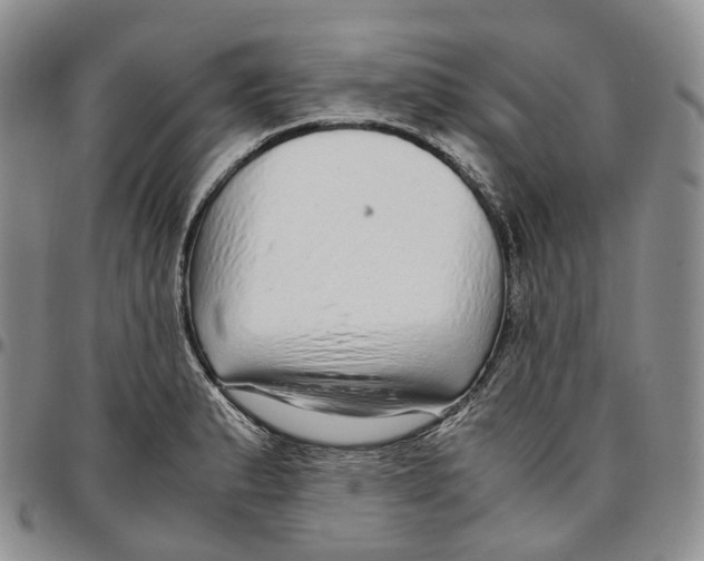 X0000096701183200803041315