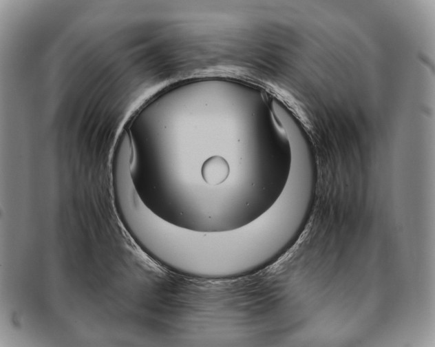 X0000096701184200803041315