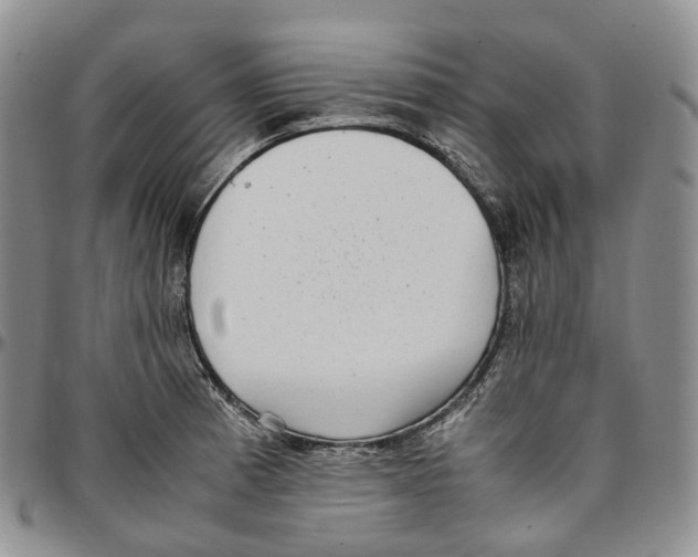X0000096701185200803041315