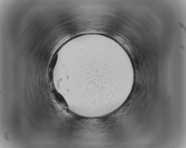 X0000096701189200803041315