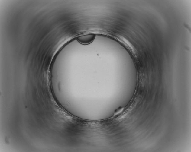 X0000096701190200803041315