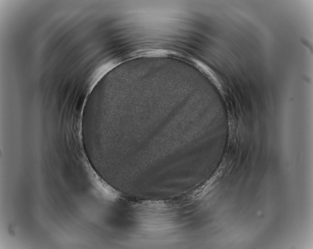 X0000096701194200803041315