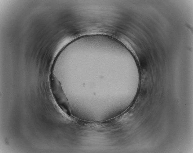 X0000096701197200803041315