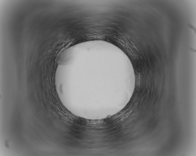 X0000096701201200803041314