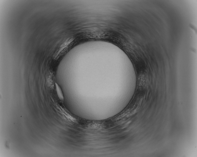 X0000096701202200803041314