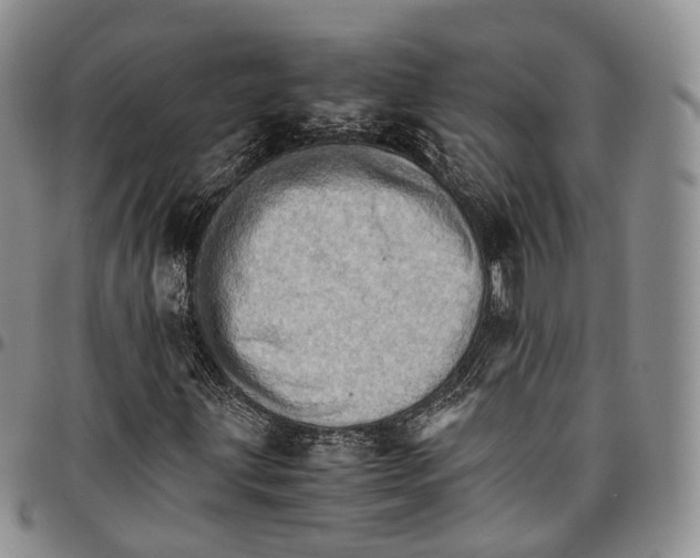 X0000096701203200803041314