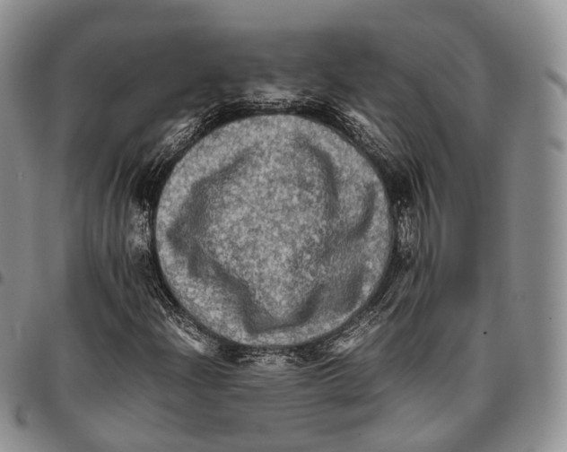 X0000096701204200803041314