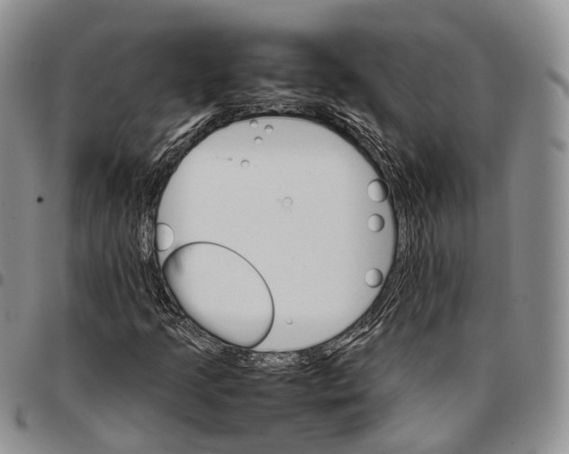 X0000096701205200803041314