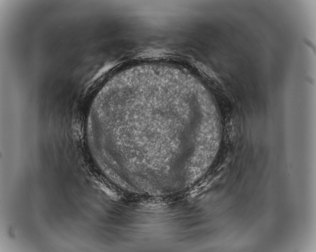 X0000096701206200803041314