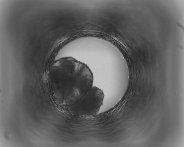 X0000096701207200803041314