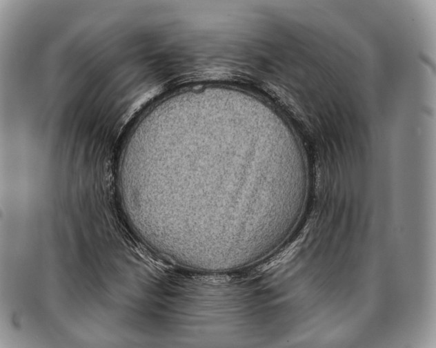 X0000096701210200803041314