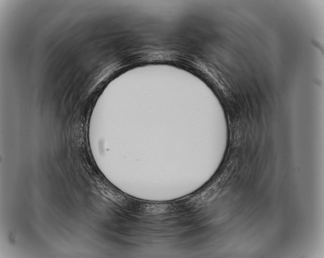 X0000096701211200803041314