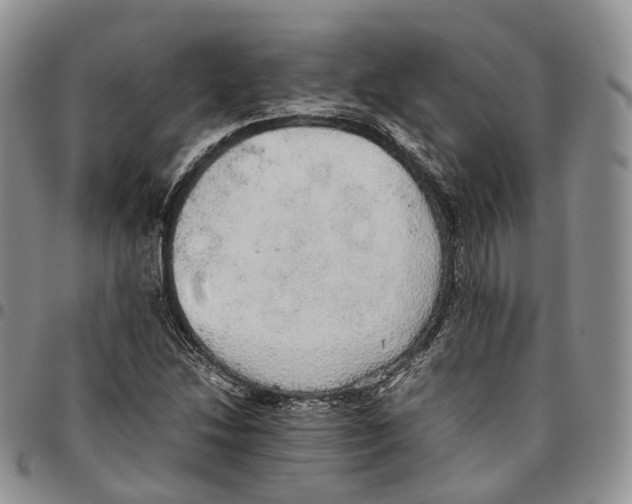 X0000096701214200803041314