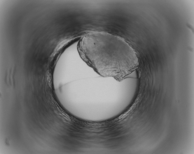 X0000096701215200803041314