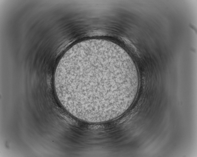 X0000096701217200803041314
