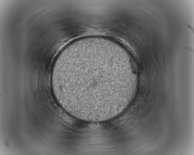 X0000096701220200803041314