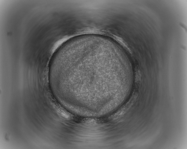 X0000096701222200803041314