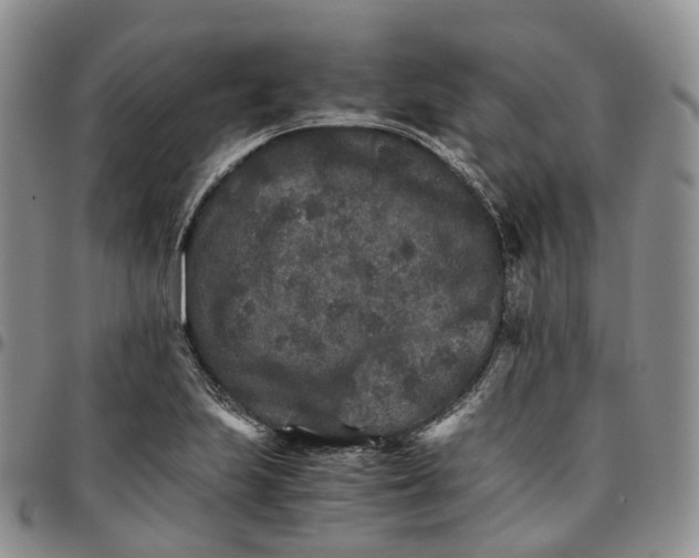 X0000096701223200803041314