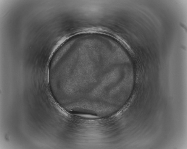 X0000096701224200803041315