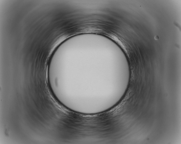 X0000096701227200803041315