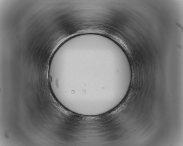 X0000096701228200803041315