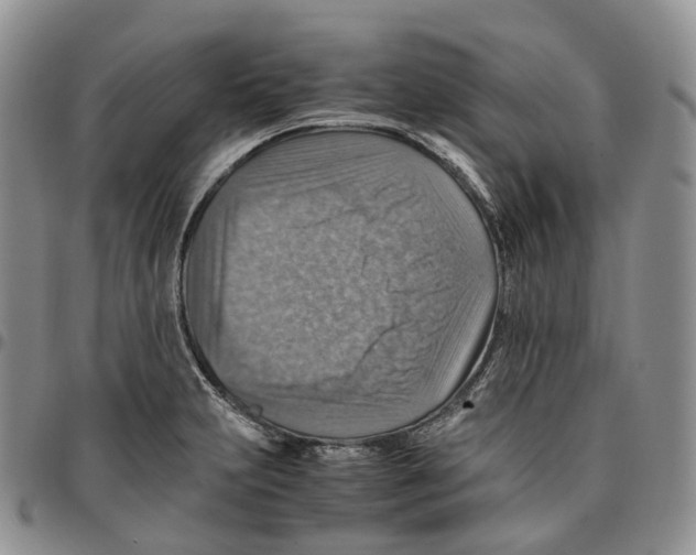 X0000096701231200803041315