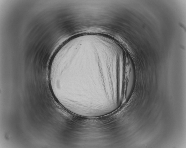X0000096701232200803041315