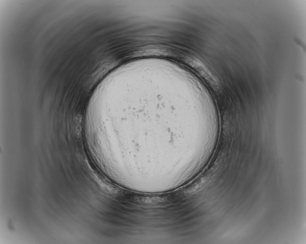 X0000096701233200803041315