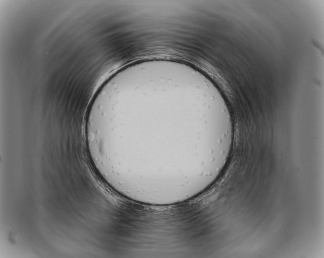 X0000096701234200803041315