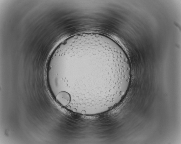 X0000096701235200803041315