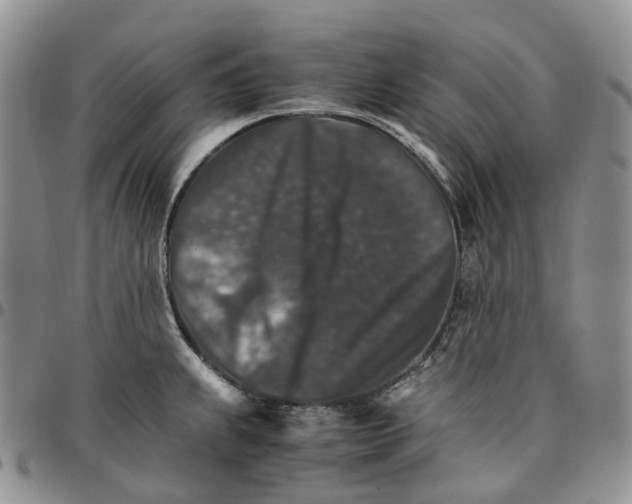 X0000096701239200803041315