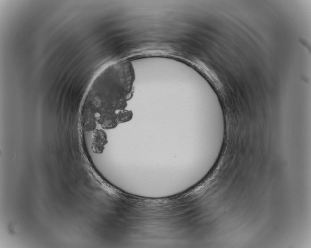 X0000096701240200803041315